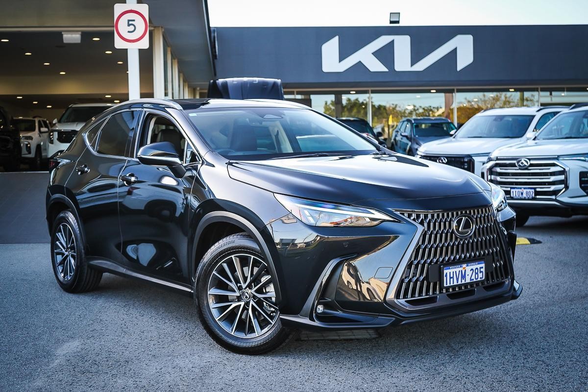 Lexus Nx image 1