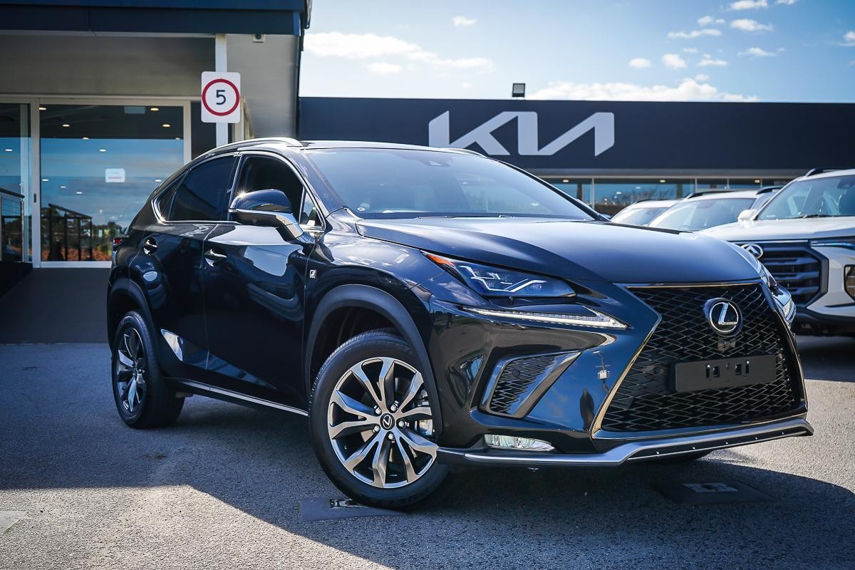 Lexus Nx image 1