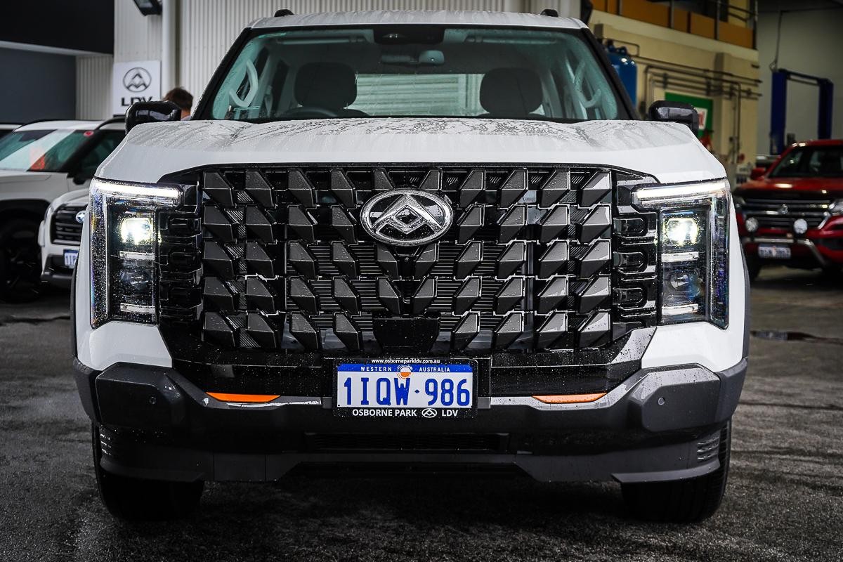 LDV Terron 9 image 3