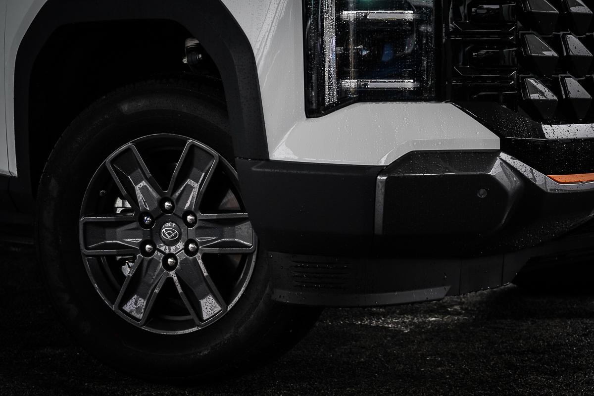 LDV Terron 9 image 2