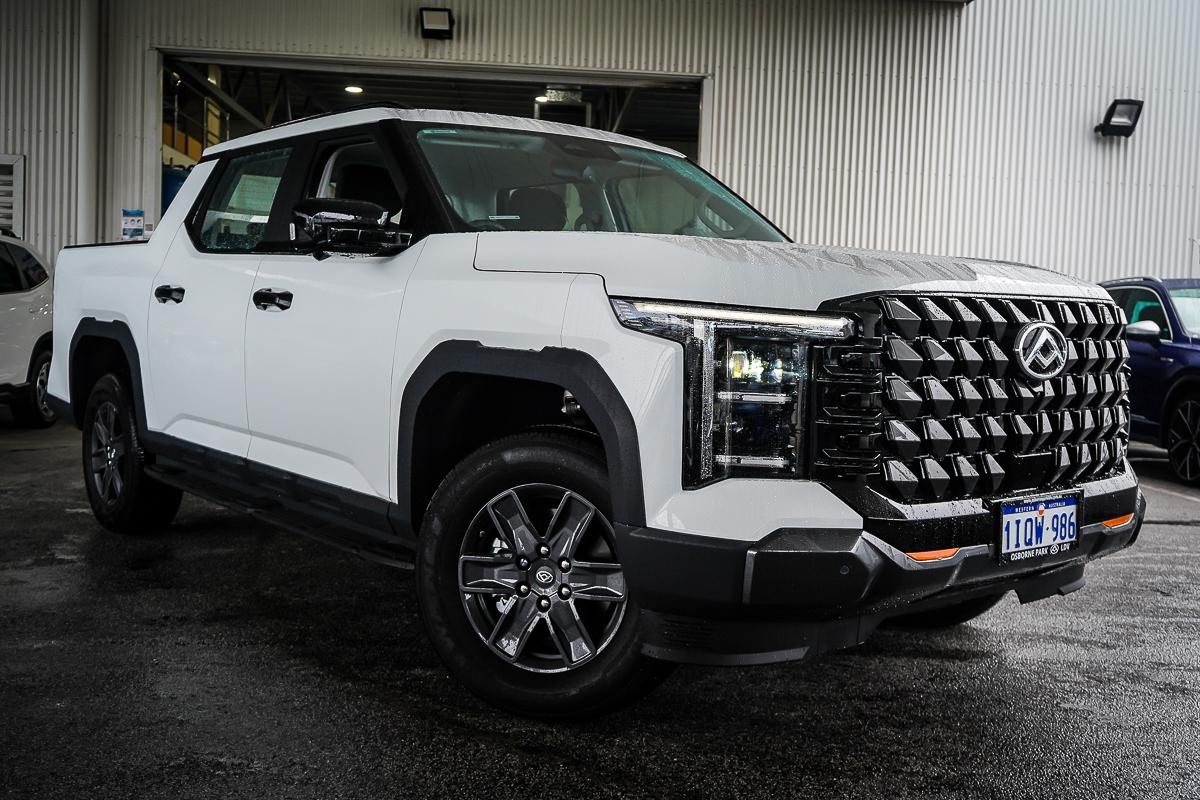 LDV Terron 9 image 1