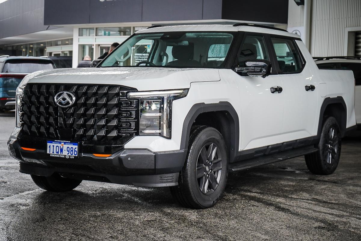LDV Terron 9 image 4