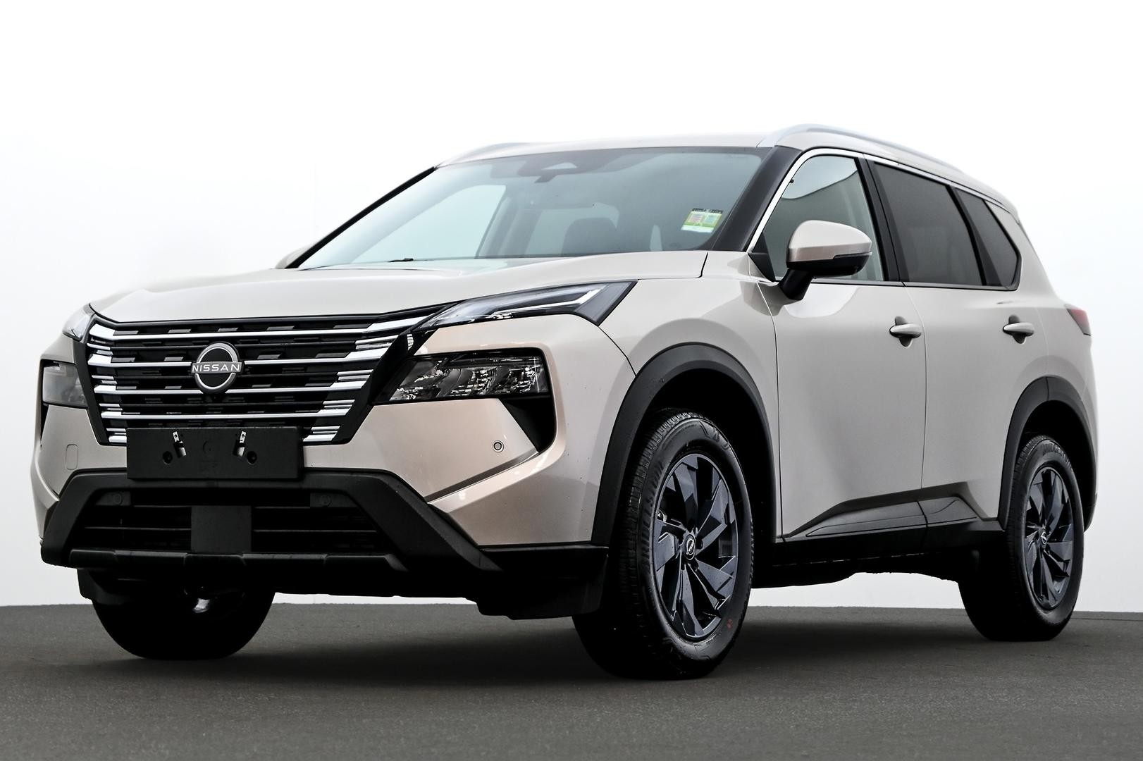 Nissan X-trail image 1