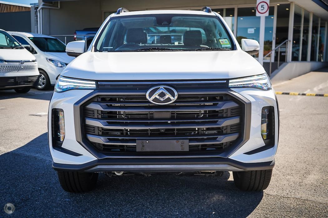 LDV T60 image 3