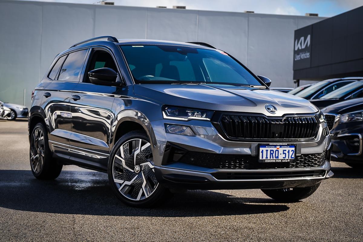 Skoda Karoq image 1