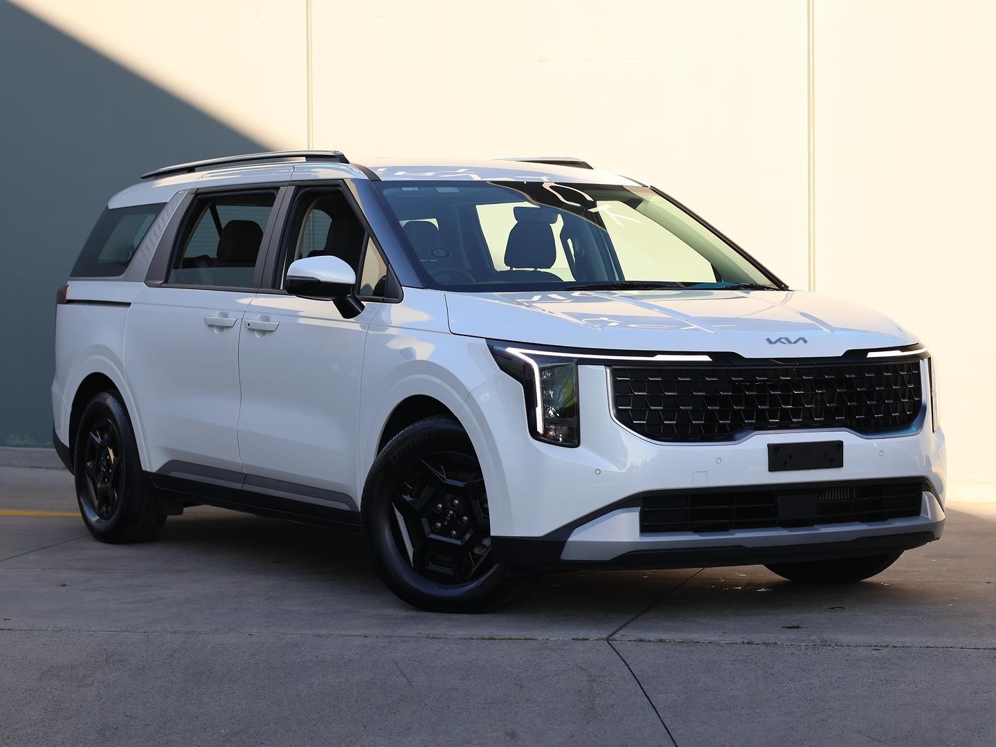 Kia Carnival image 1