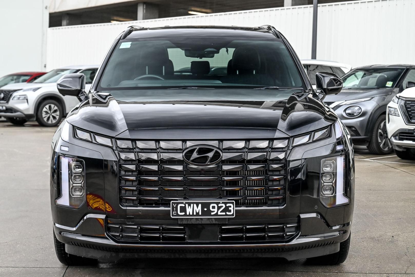 Hyundai Palisade image 2