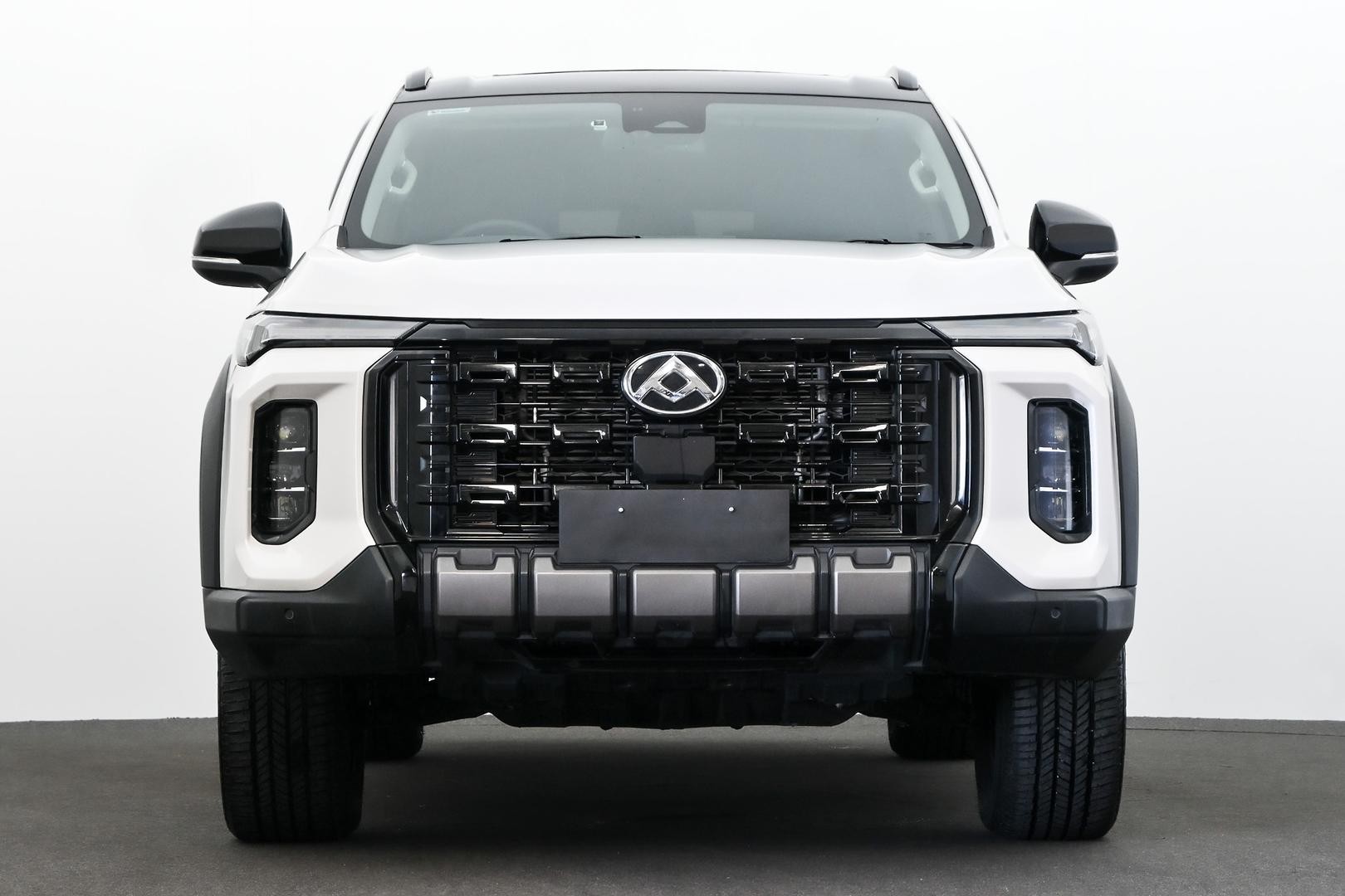 LDV D90 image 2