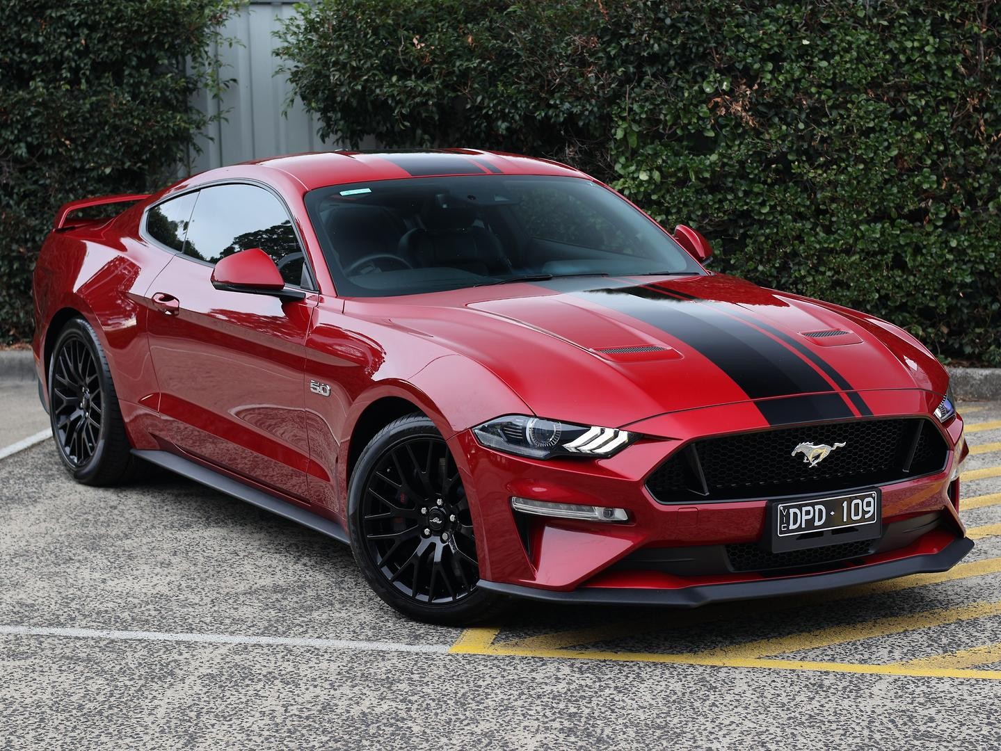 Ford Mustang image 1
