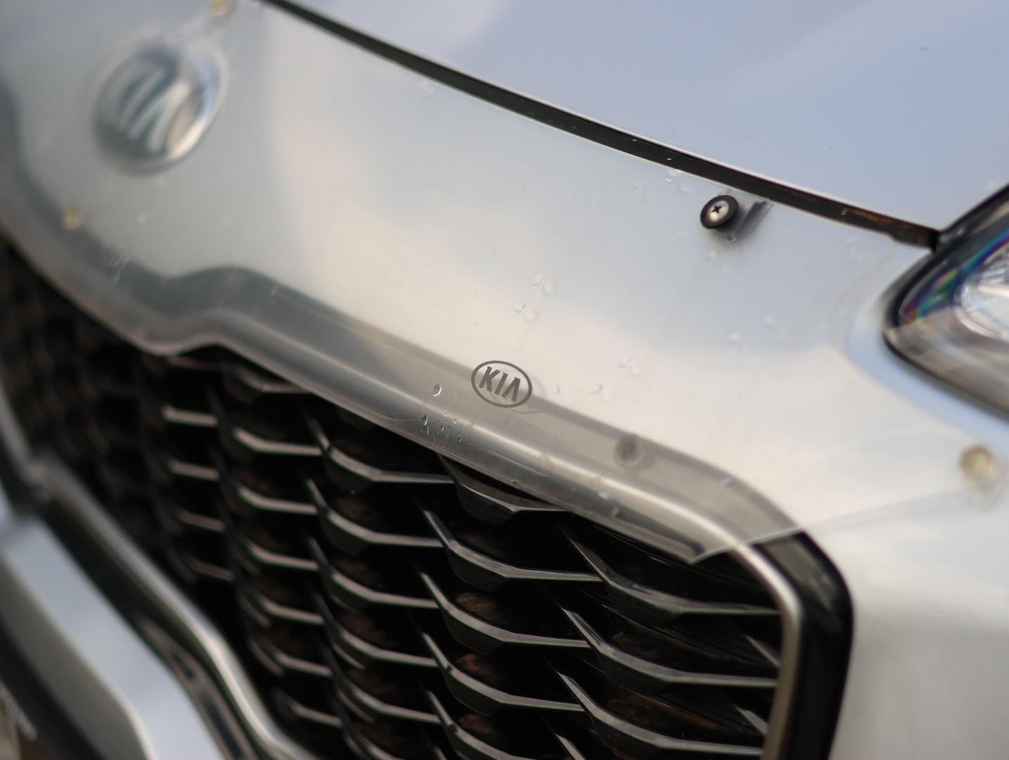 Kia Sportage image 4