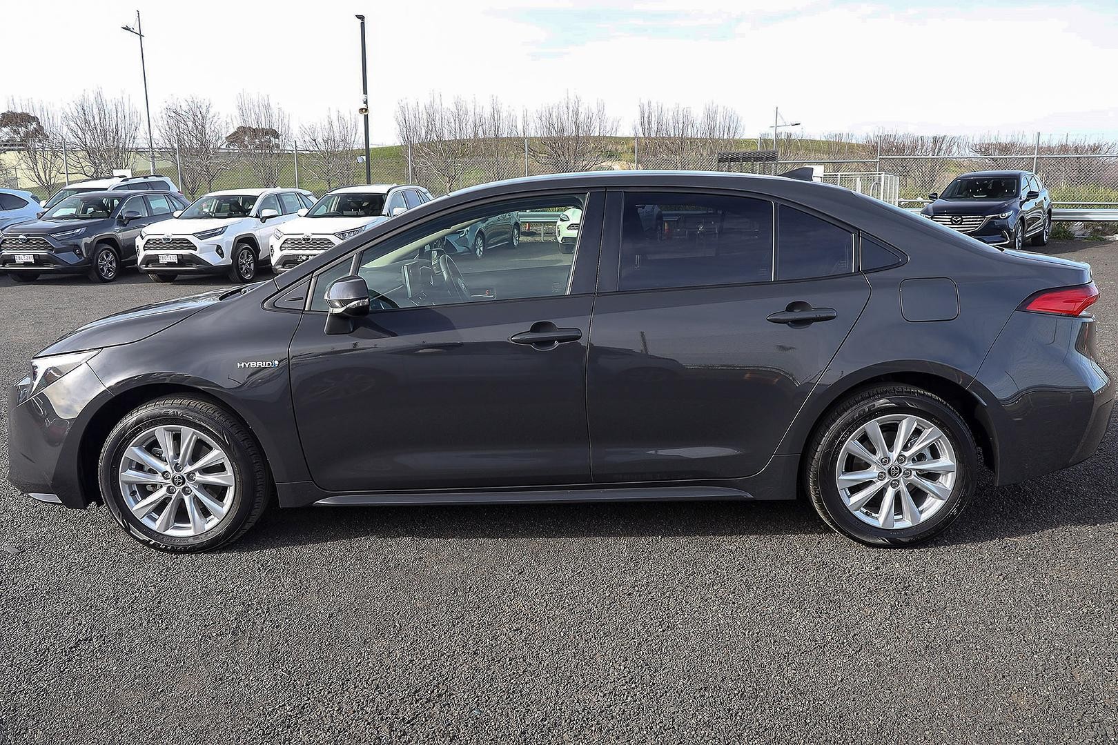 Toyota Corolla image 4
