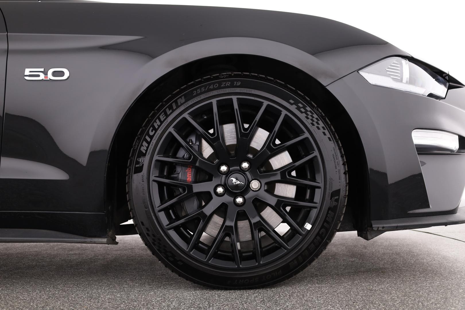 Ford Mustang image 3