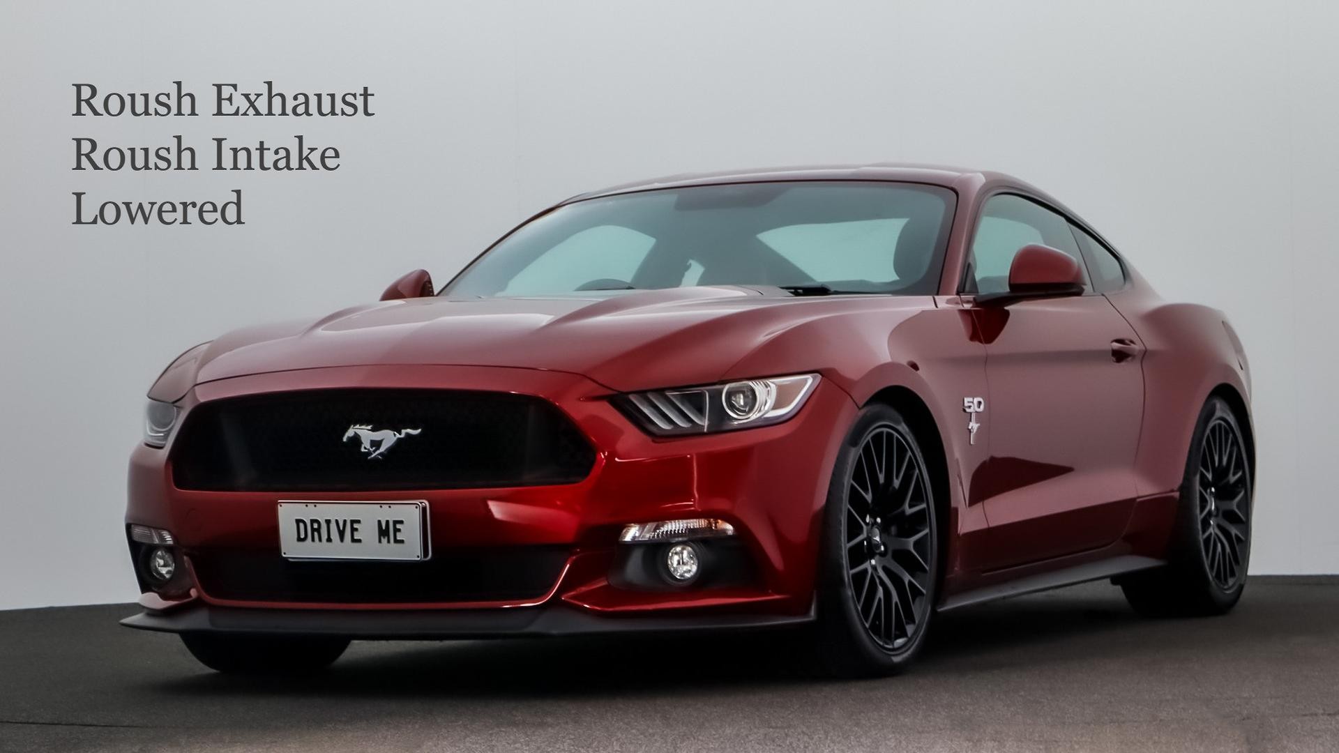 Ford Mustang image 1