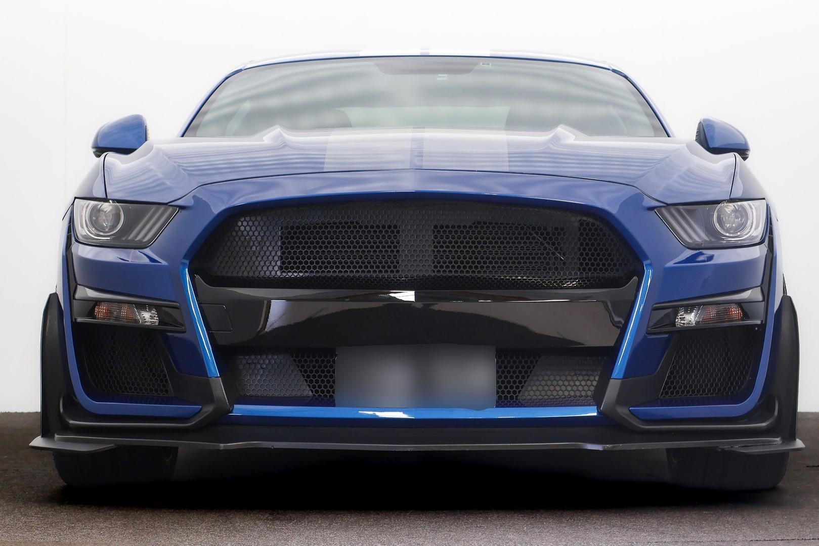 Ford Mustang image 2