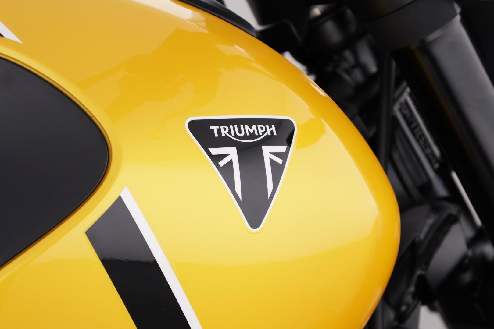 Triumph Trident 660 image 4