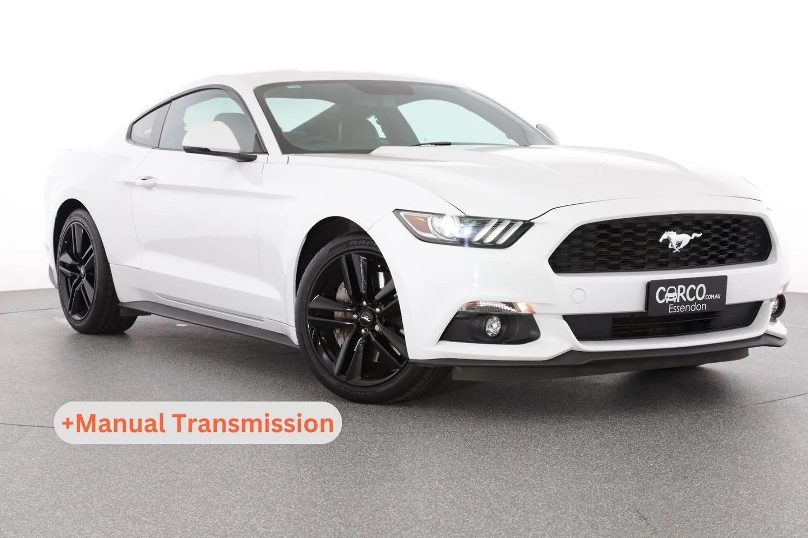 Ford Mustang image 1