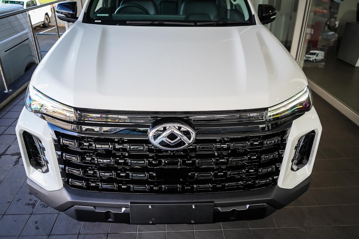 LDV T60 image 4