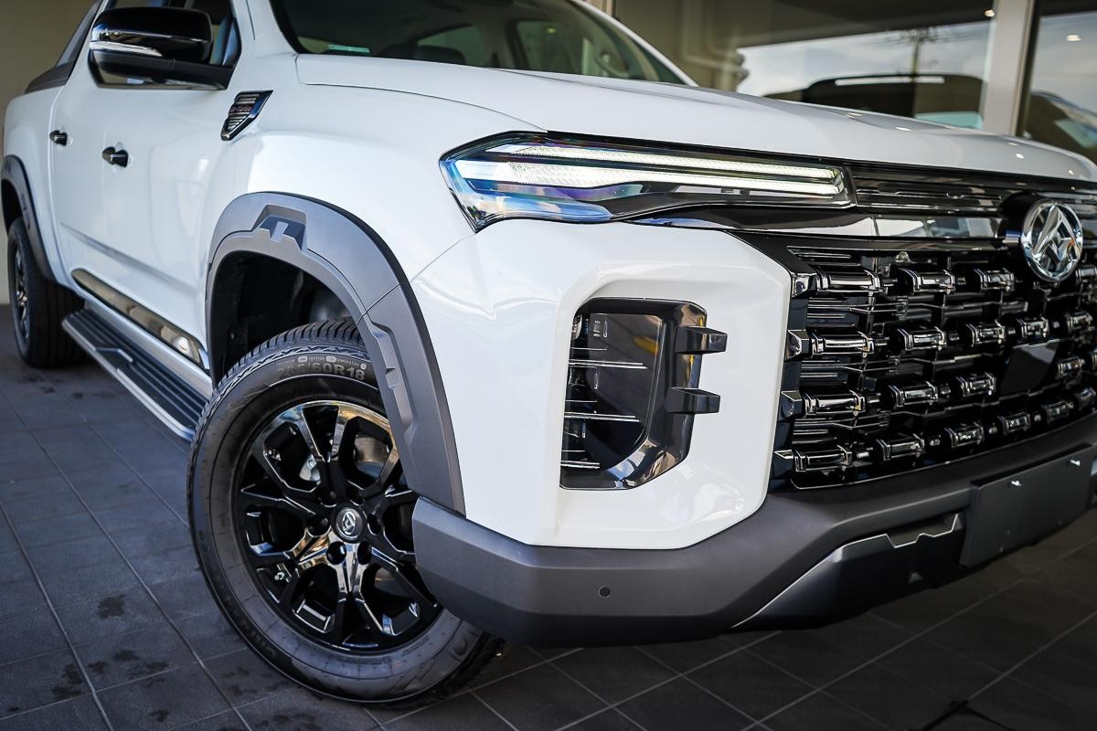 LDV T60 image 2