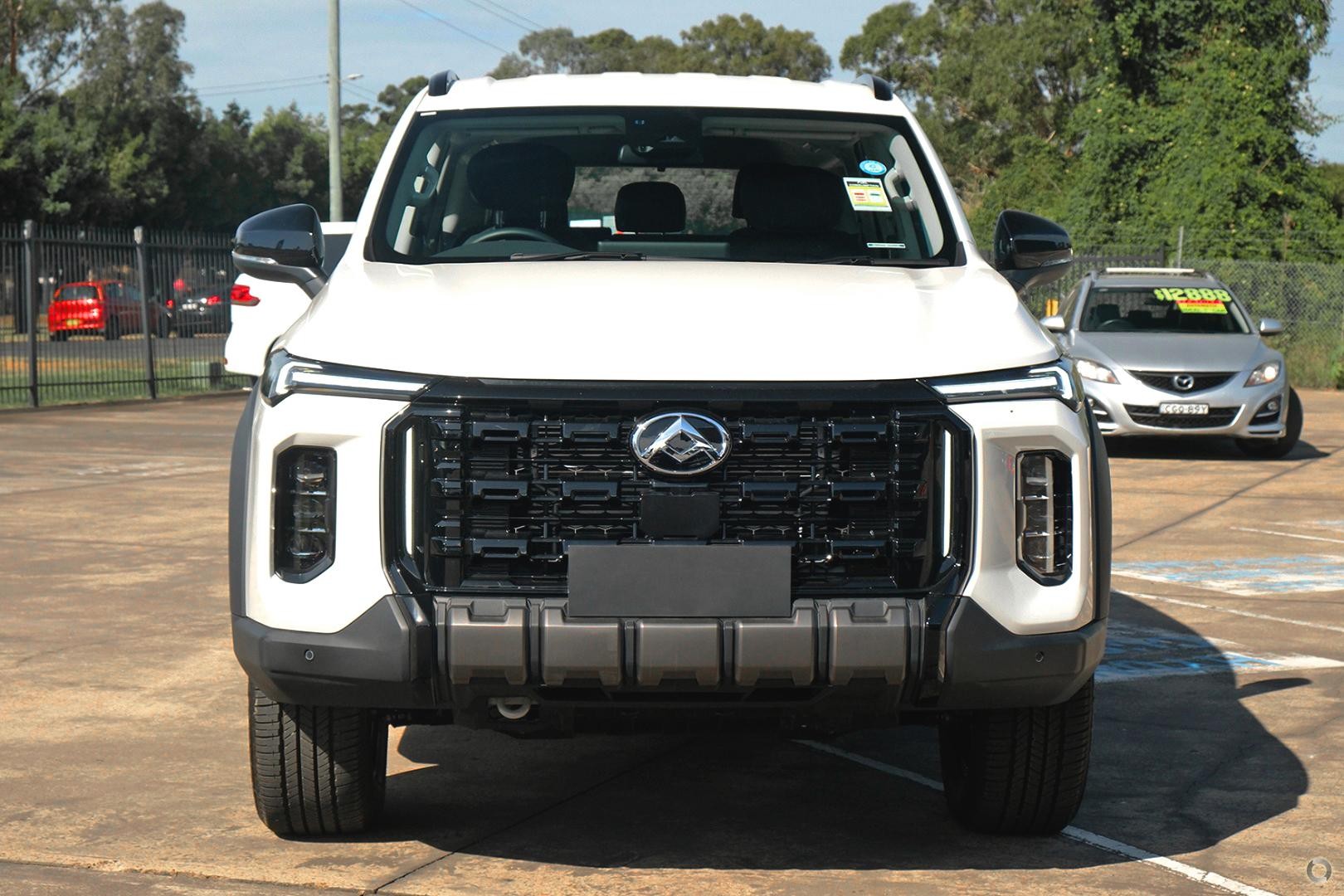 LDV D90 image 2