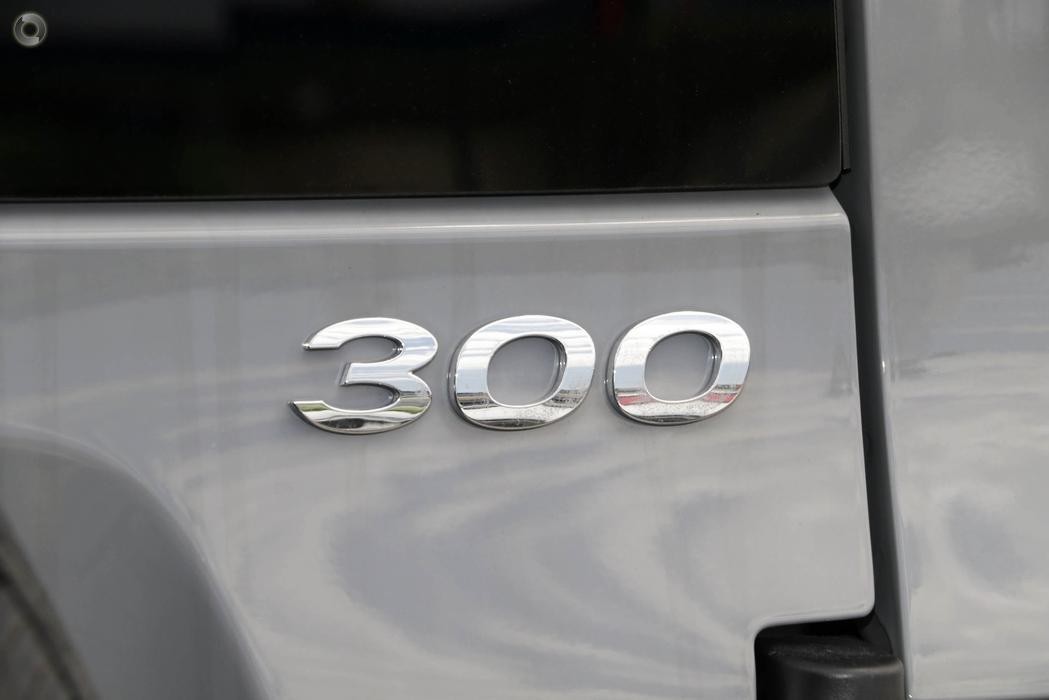 Gwm Tank 300 image 2