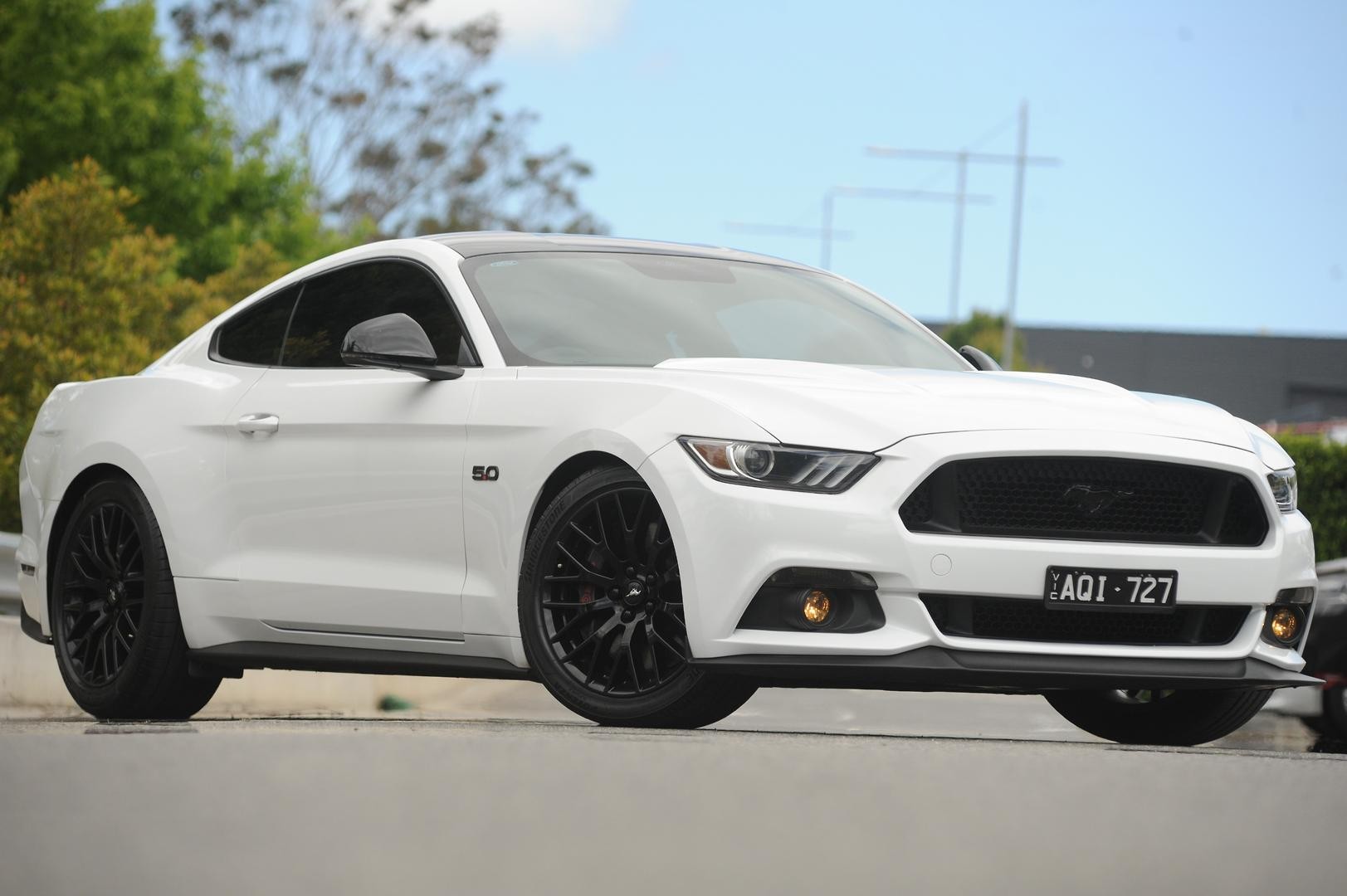 Ford Mustang image 1