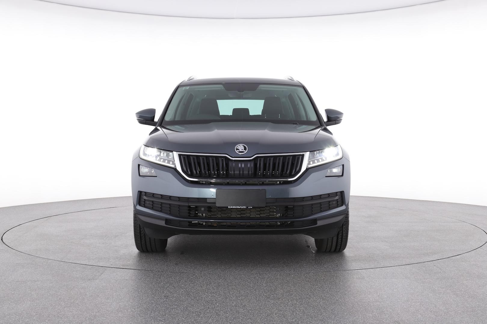 Skoda Kodiaq image 2