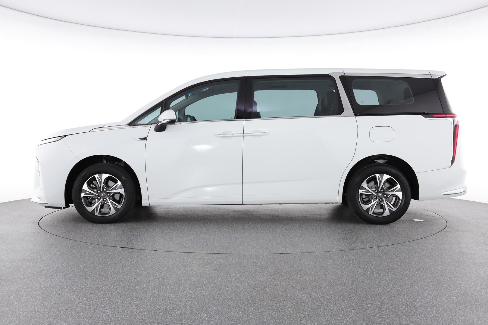 LDV Mifa image 3