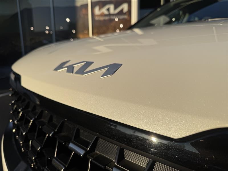Kia Carnival image 2