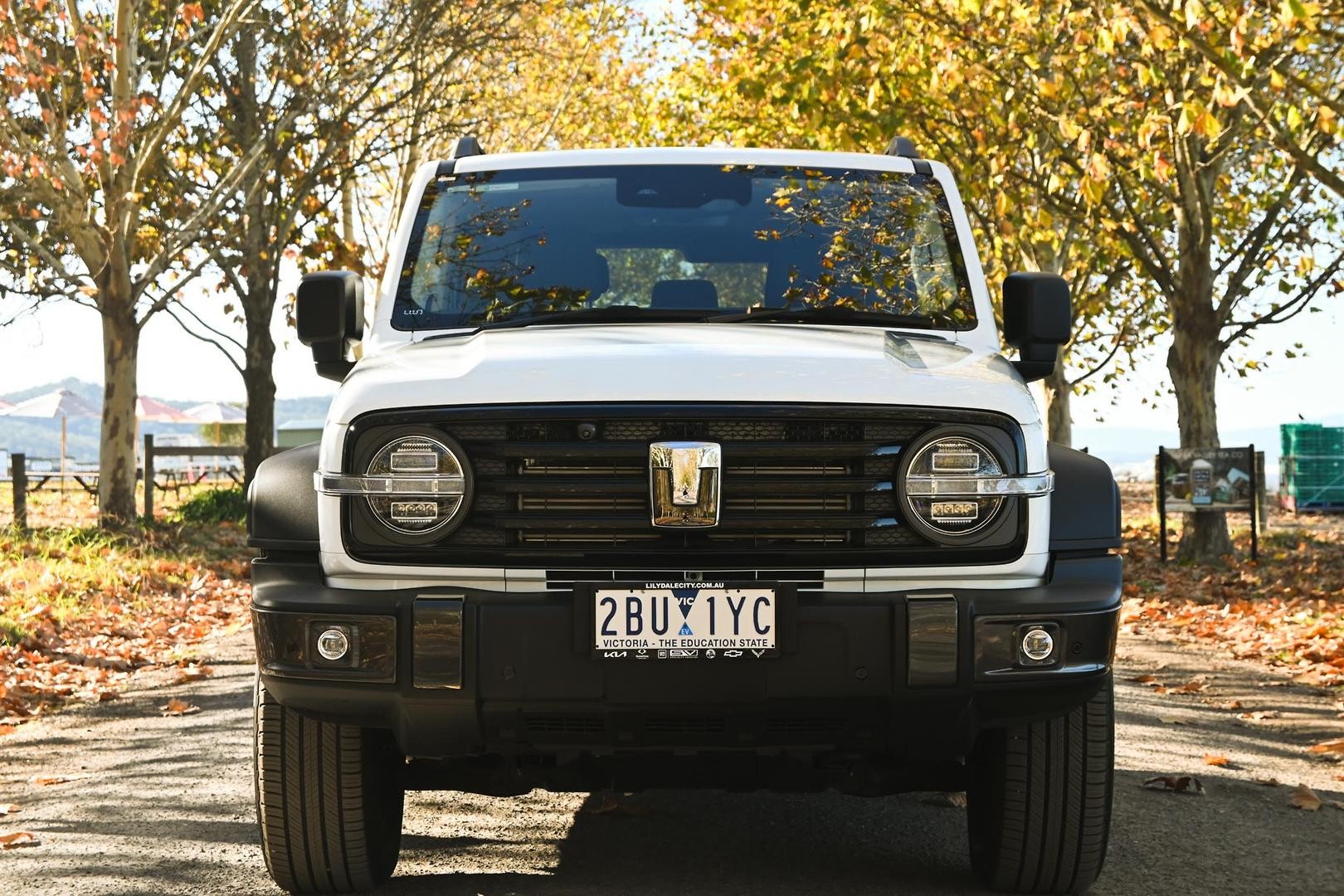 Gwm Tank 300 image 3