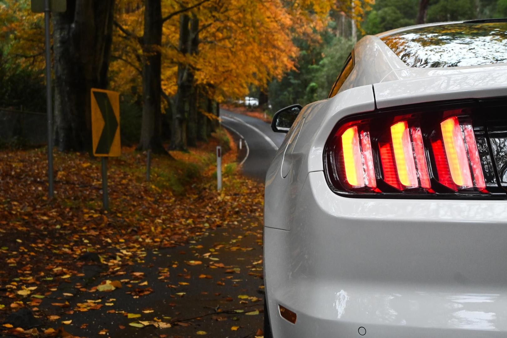 Ford Mustang image 4