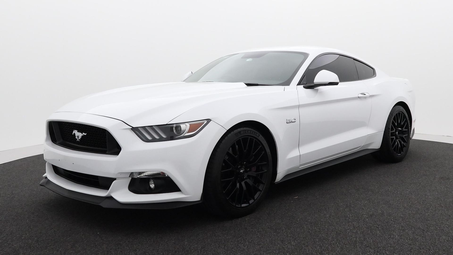 Ford Mustang image 1