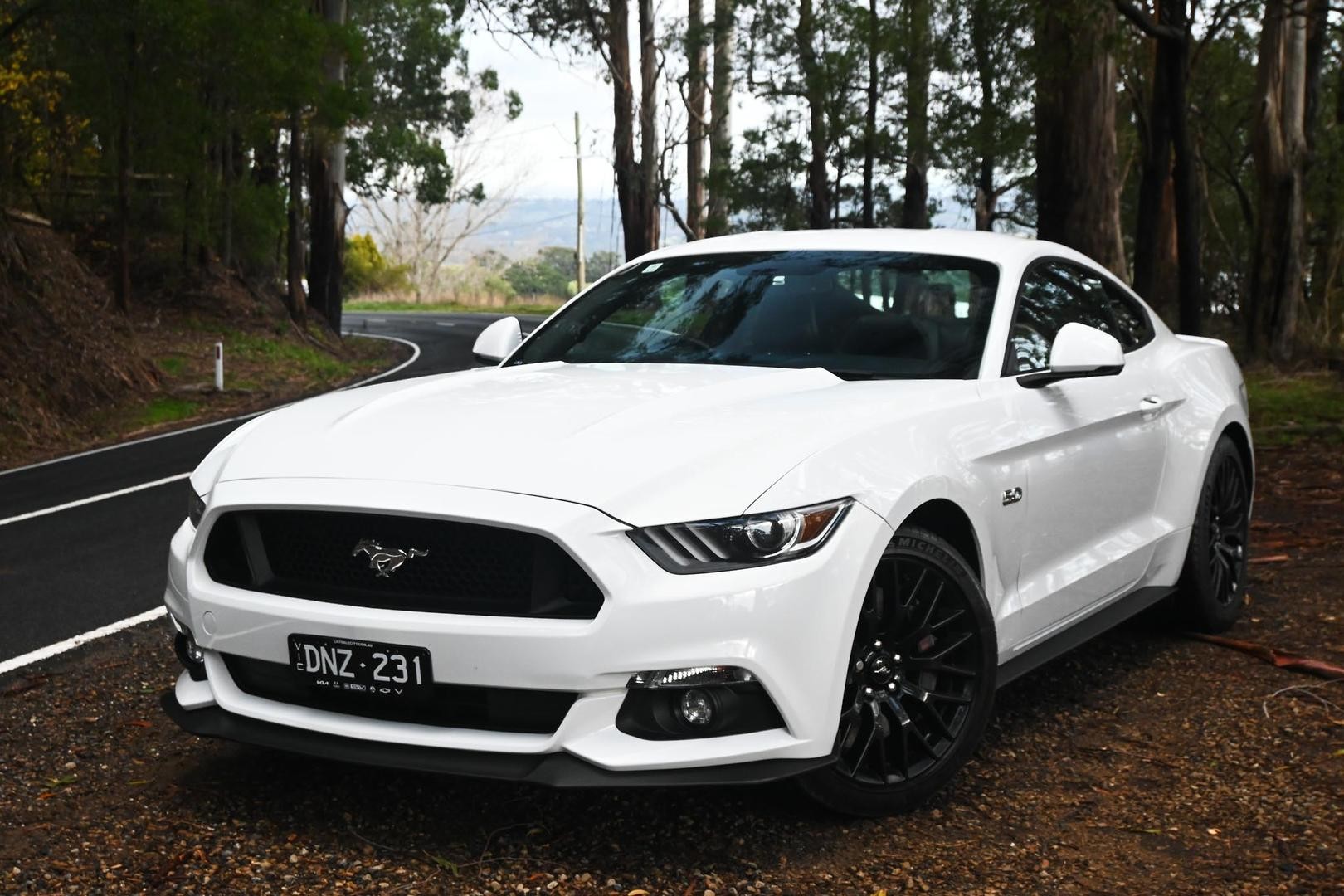 Ford Mustang image 3