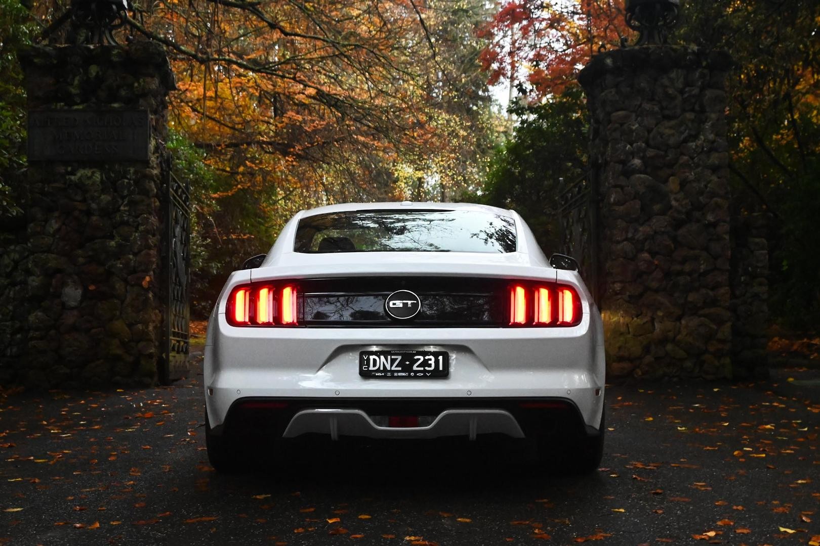 Ford Mustang image 2