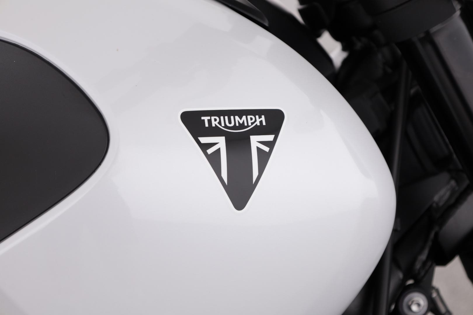 Triumph Trident 660 image 4