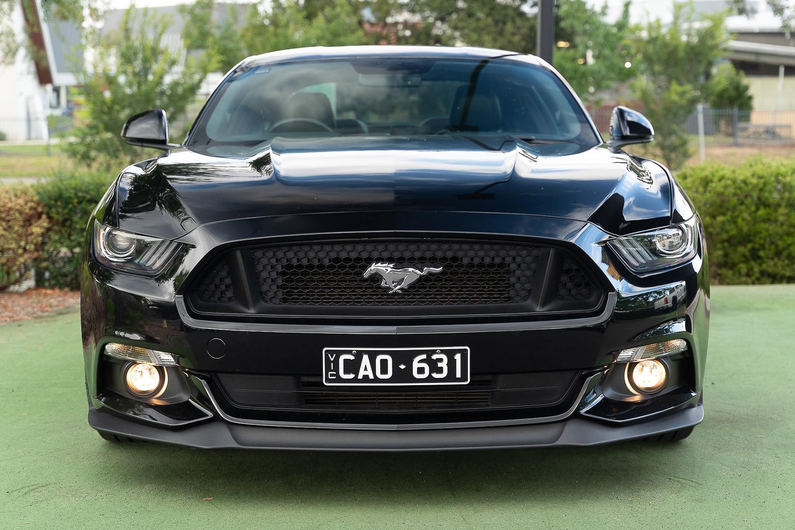 Ford Mustang image 2