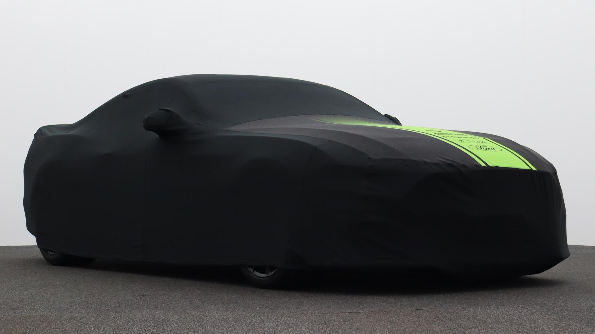 Ford Mustang image 2
