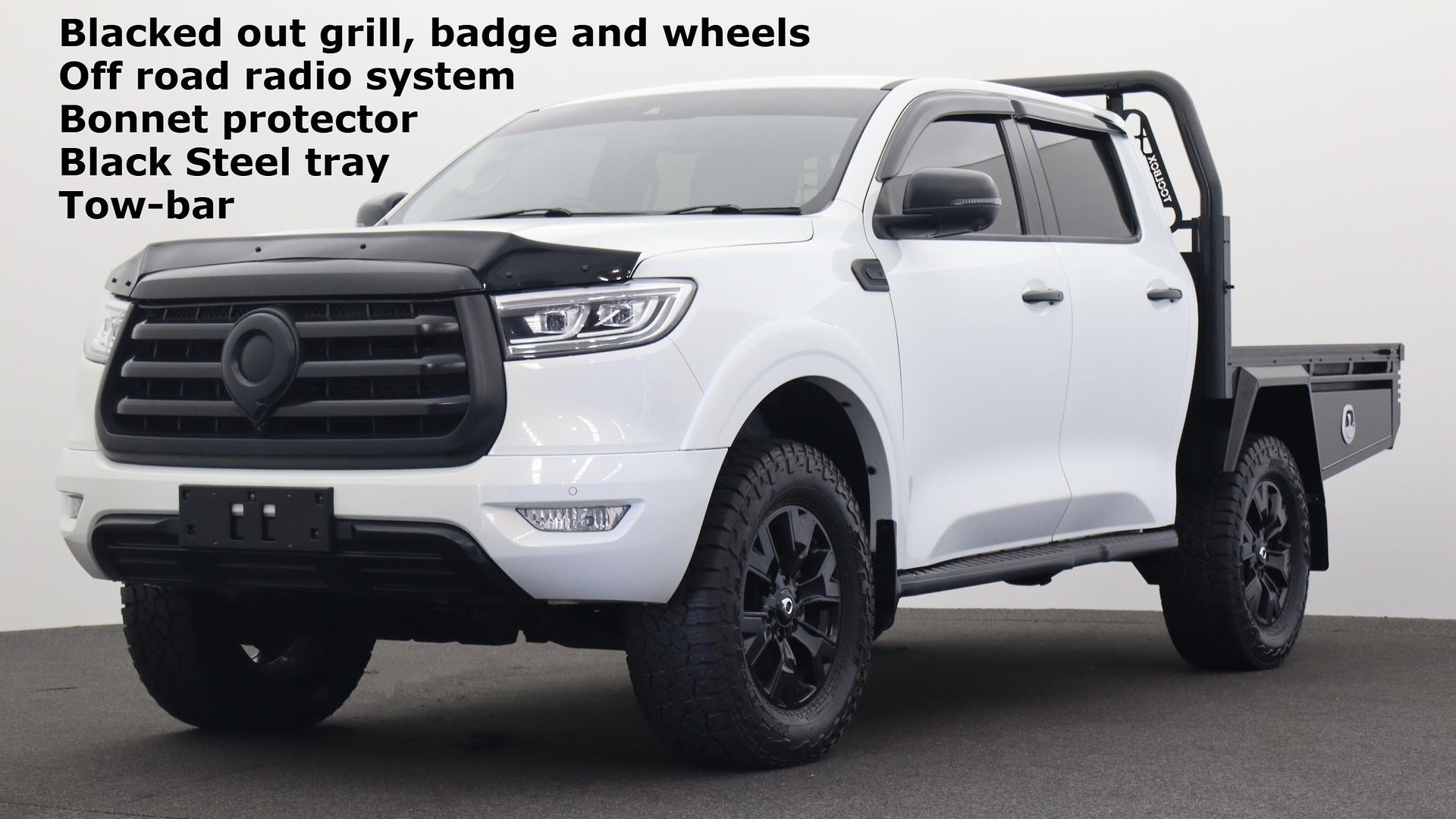 Gwm Ute image 1