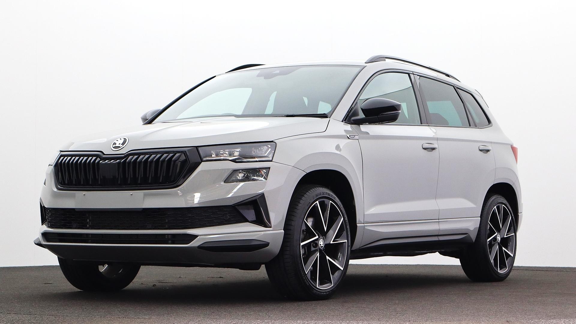 Skoda Karoq image 1