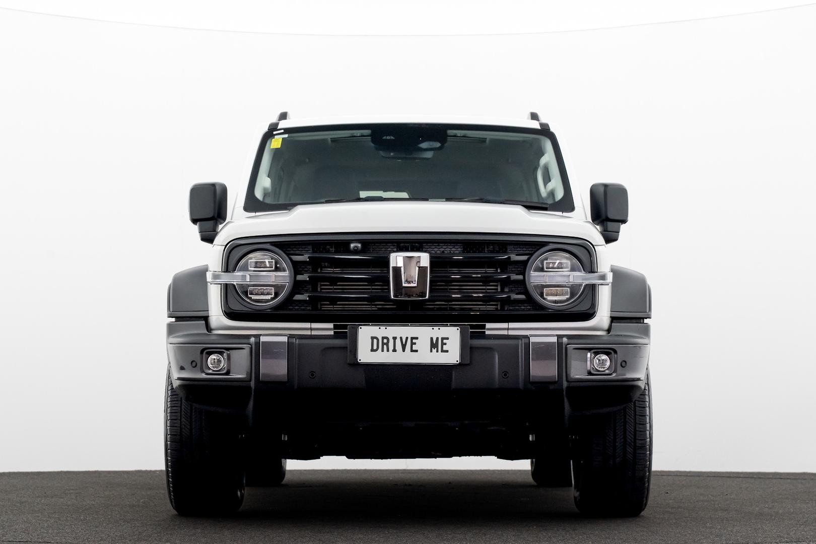 Gwm Tank 300 image 2