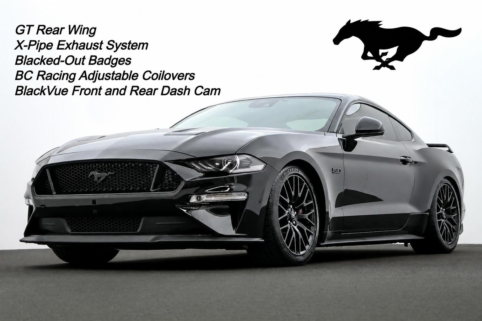 Ford Mustang image 1
