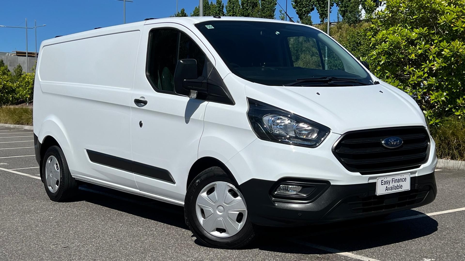 Ford Transit image 1