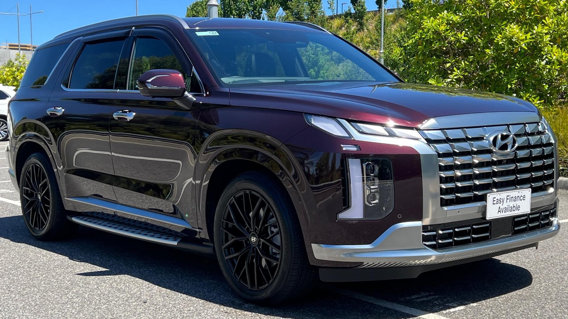 Hyundai Palisade image 2