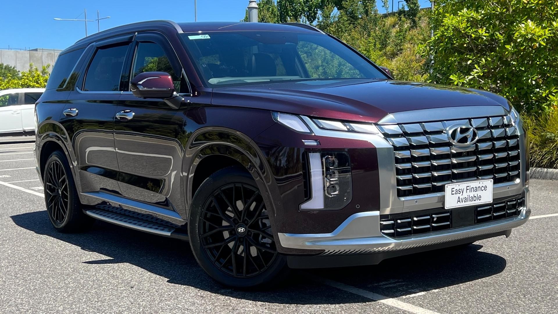 Hyundai Palisade image 1