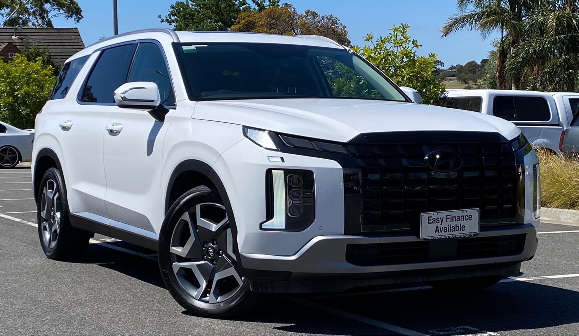 Hyundai Palisade image 1