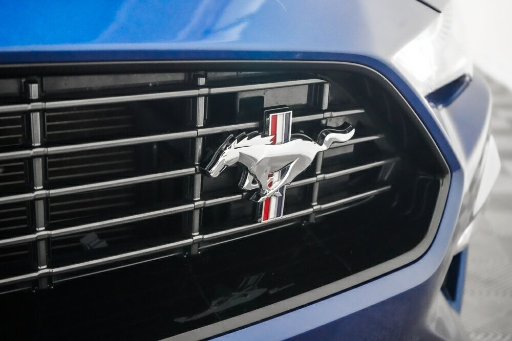 Ford Mustang image 4