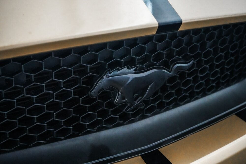 Ford Mustang image 3