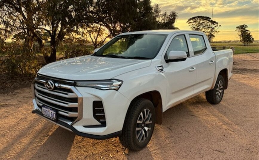 LDV T60 image 1