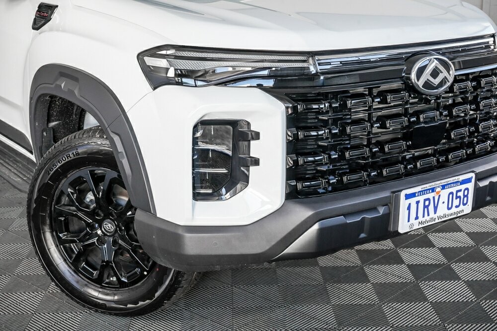 LDV T60 image 2