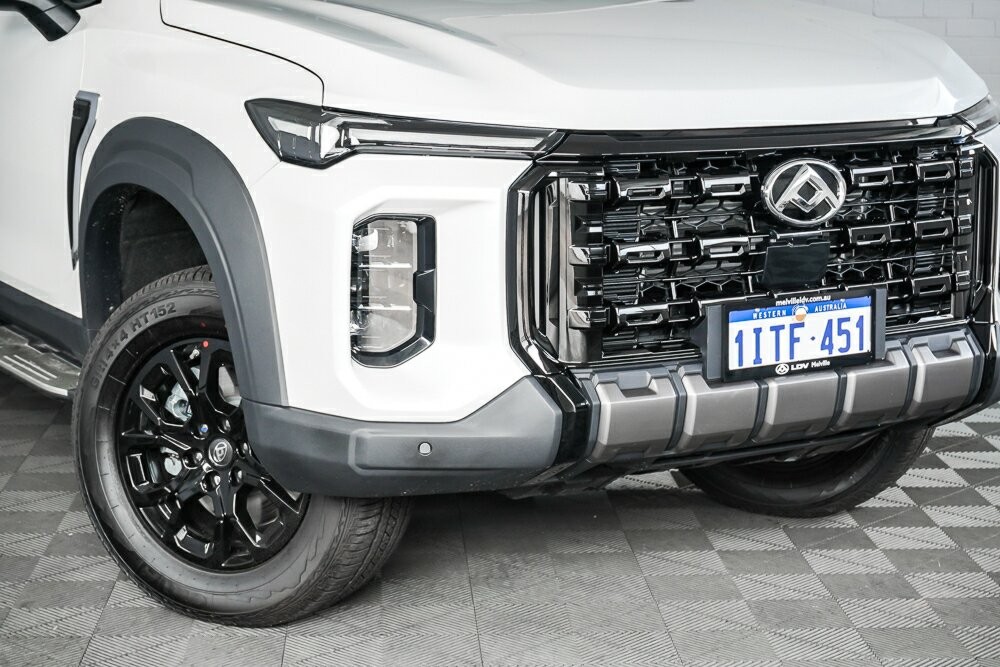 LDV D90 image 2