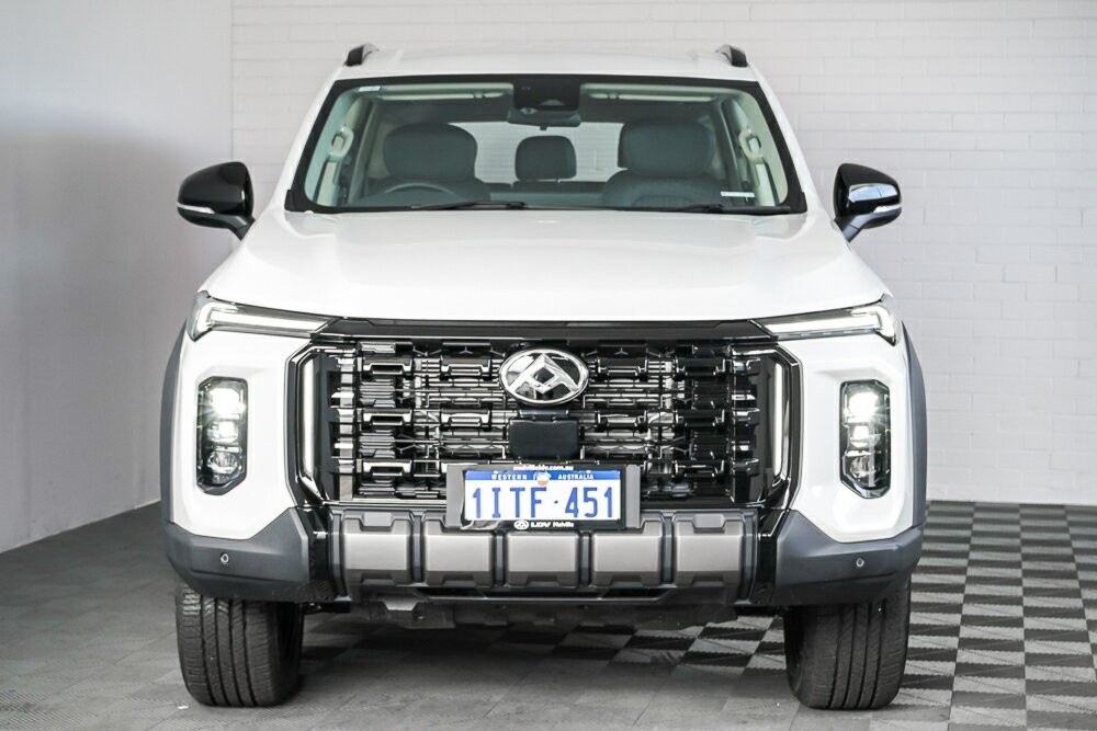 LDV D90 image 3